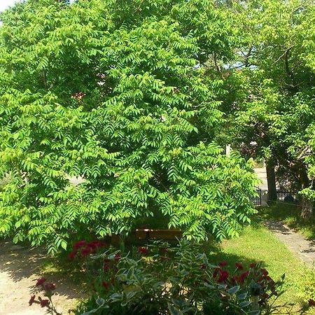 Marinas Guesthouse Kobuleti Dış mekan fotoğraf